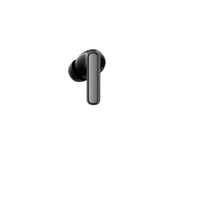 HAYLOU Flowbuds N55